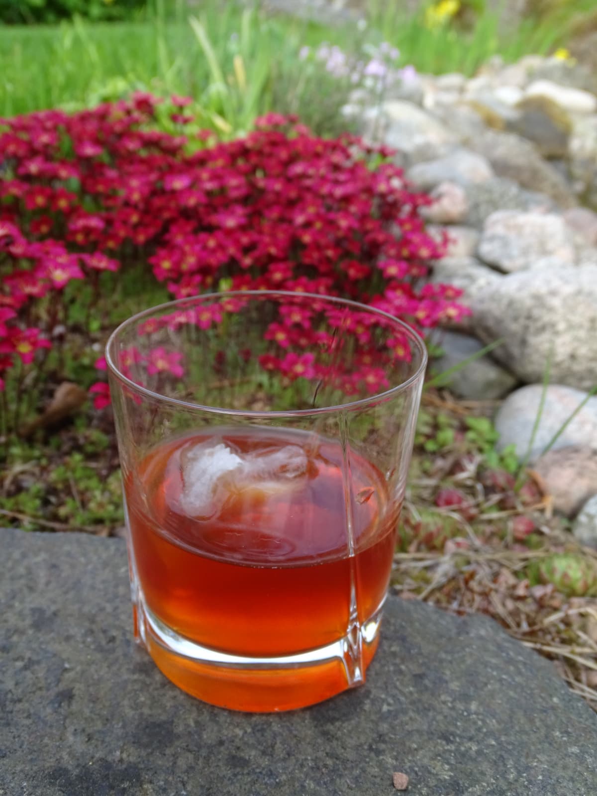 Kattila Negroni
